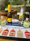 Elderflower (Hugo) Spritz Cocktail Set