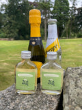 Elderflower (Hugo) Spritz Cocktail Set