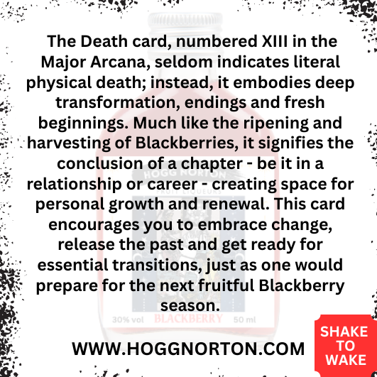 Hogg Norton Special Edition Witch and Tarot Divination Collection with Enchanting Shimmer