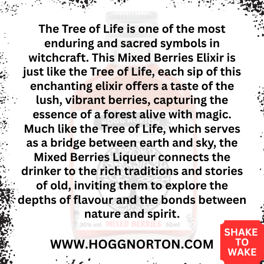 Hogg Norton Special Edition Witch and Tarot Divination Collection with Enchanting Shimmer