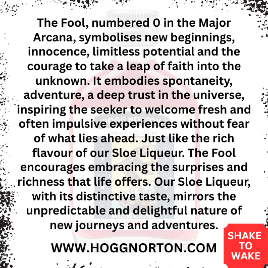 Hogg Norton Special Edition Witch and Tarot Divination Collection with Enchanting Shimmer