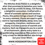 Hogg Norton Special Edition Witch and Tarot Divination Collection with Enchanting Shimmer