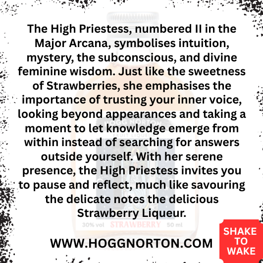 Hogg Norton Special Edition Witch and Tarot Divination Collection with Enchanting Shimmer