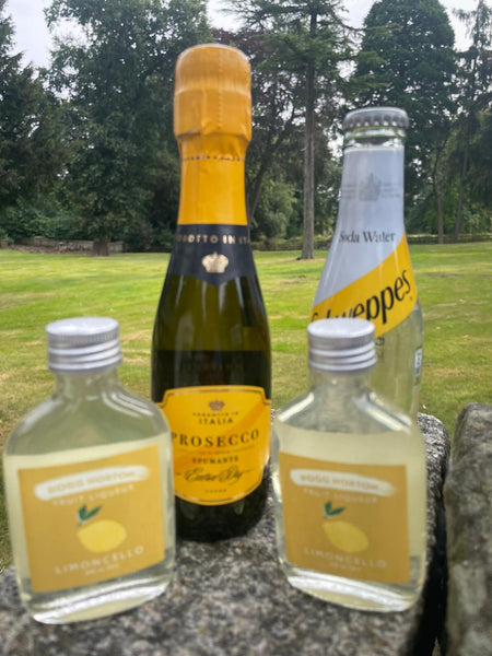 Limoncello Spritz Cocktail Set